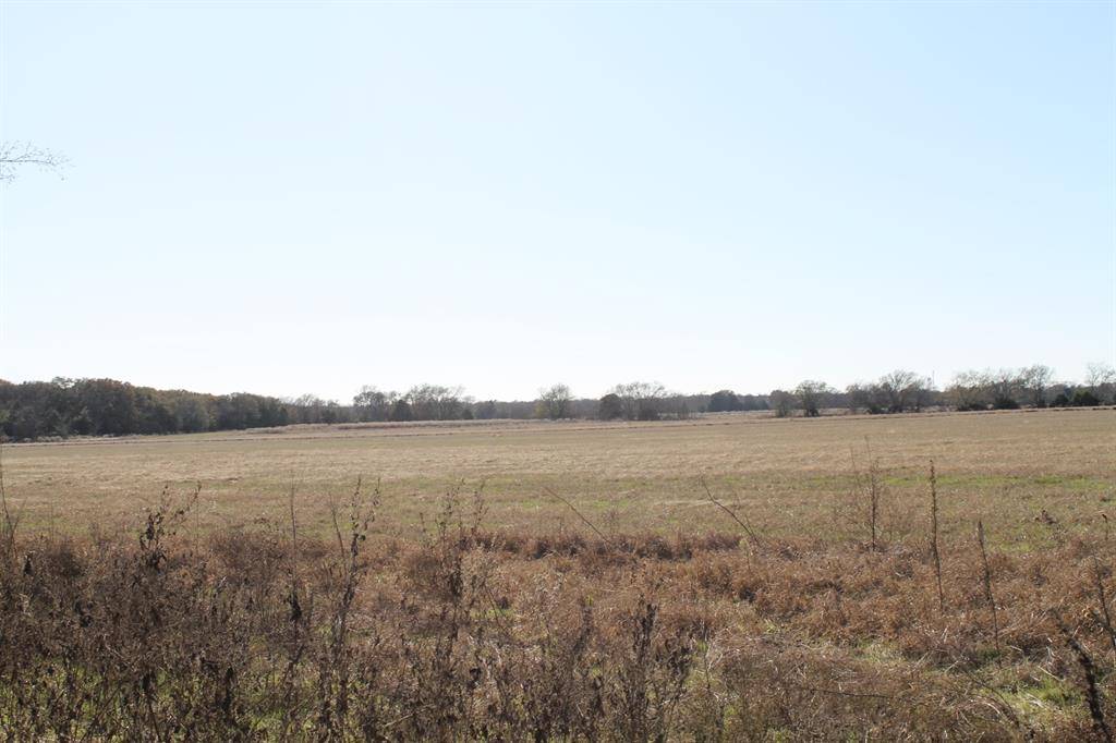 Caddo Mills, TX 75135,Tract 5 CR 2216