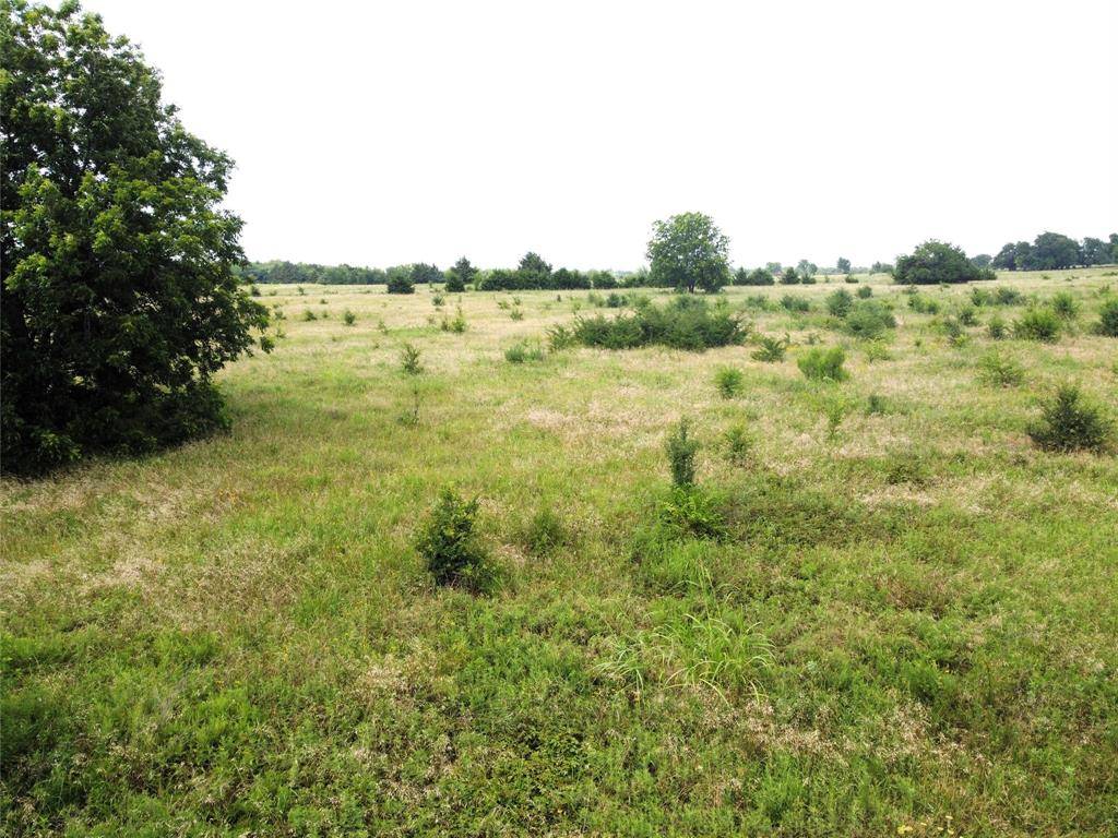 Ravenna, TX 75476,Lot 6 CR 1400