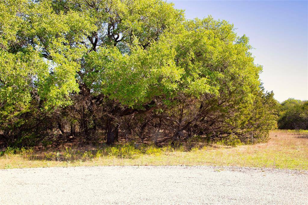 Mineral Wells, TX 76067,Lot 100 Dollar Pt Court