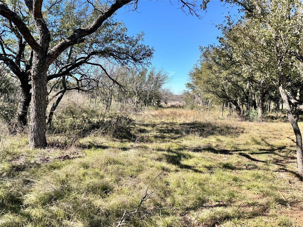 May, TX 76857,TBD Lot 70 Oak Point Drive