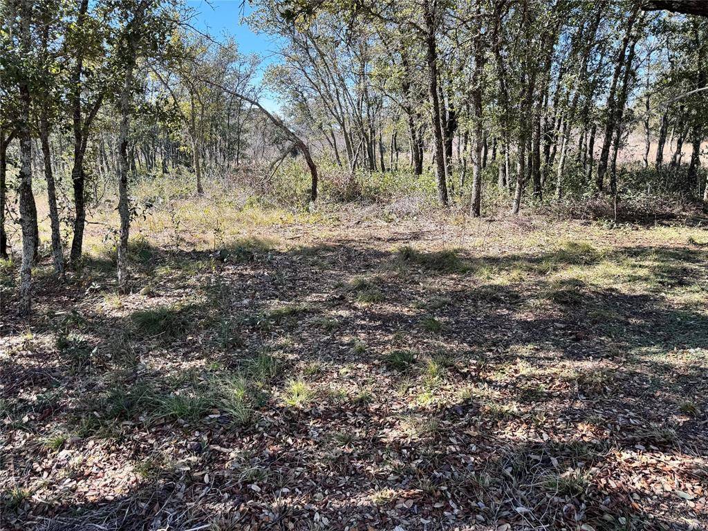 May, TX 76857,TBD Lot 70 Oak Point Drive