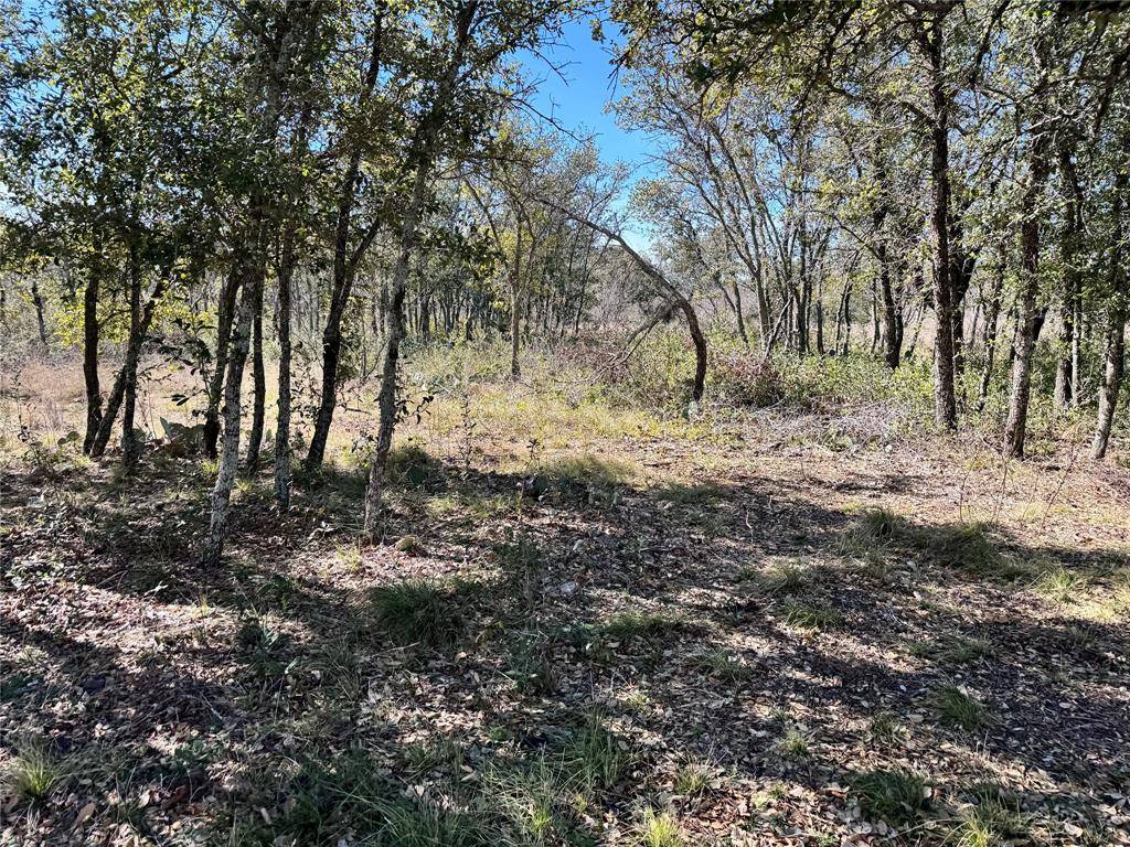 May, TX 76857,TBD Lot 70 Oak Point Drive