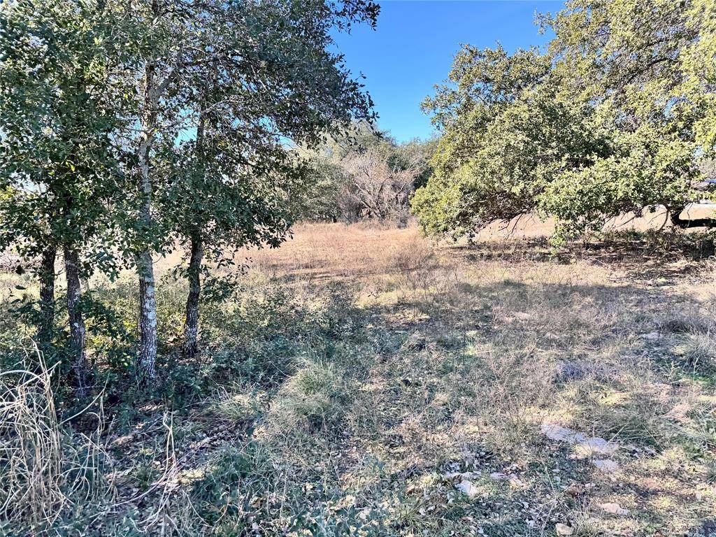 May, TX 76857,TBD Lot 70 Oak Point Drive