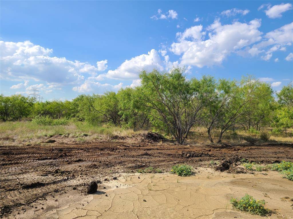 Joshua, TX 76058,1481 Saguaro Trail