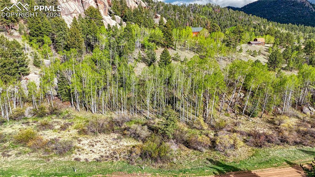 Florissant, CO 80816,649 Pinon LN