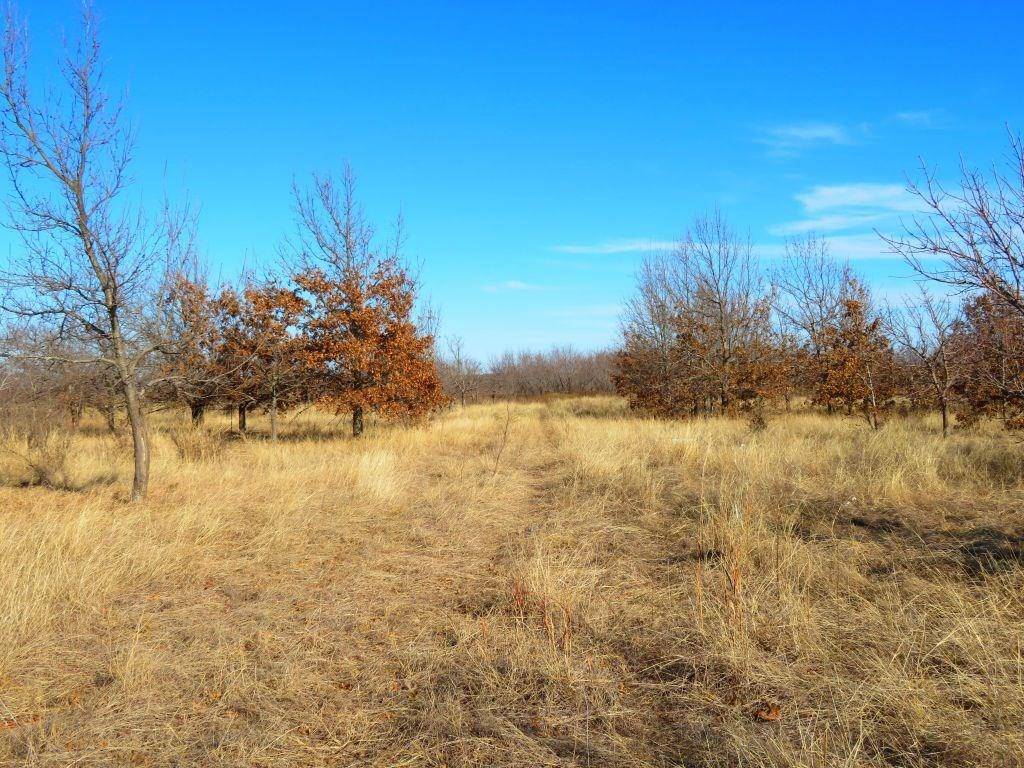 Nocona, TX 76255,00 Cardwell Rd