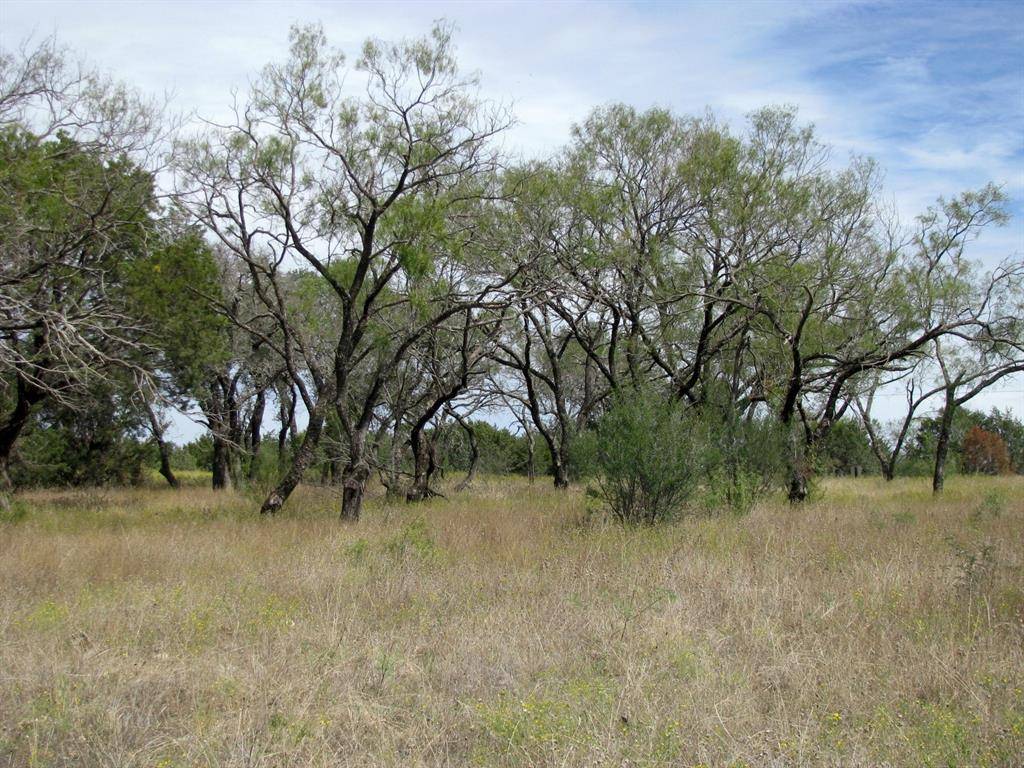 Evant, TX 76525,3180 Private Road 42111