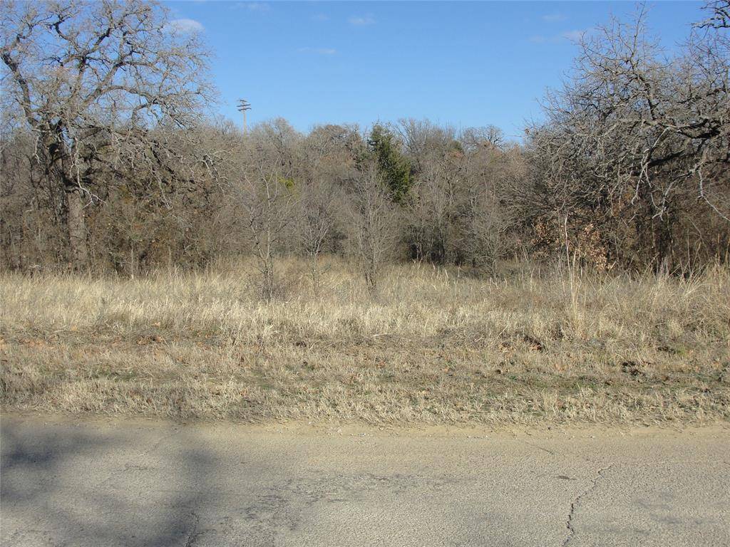 Mineral Wells, TX 76067,TBD Lee Rd