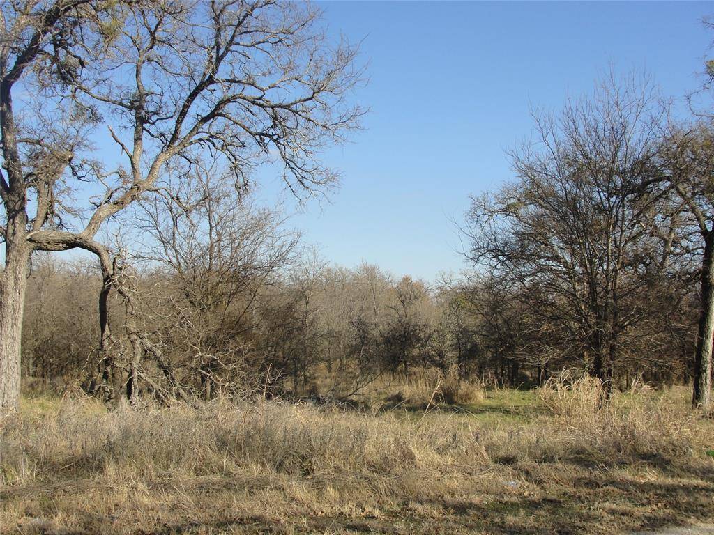 Mineral Wells, TX 76067,TBD Lee Rd