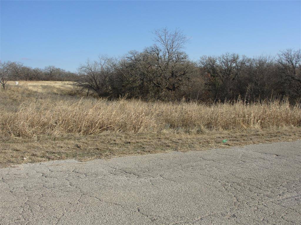 Mineral Wells, TX 76067,TBD A Lee Rd