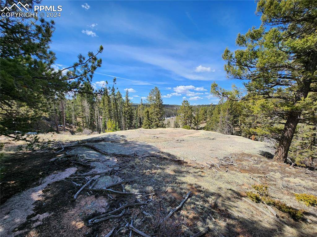 Divide, CO 80814,LOT 1 Highway 24