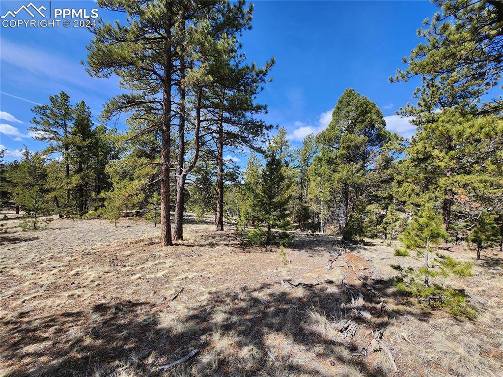 Divide, CO 80814,LOT 1 Highway 24