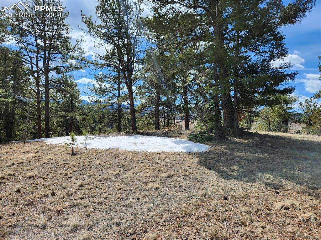 Divide, CO 80814,LOT 1 Highway 24