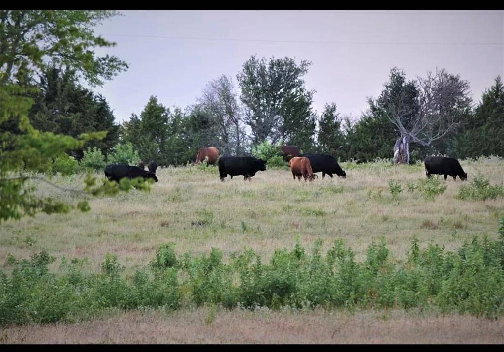 Grand Saline, TX 75140,TBD vz County Road 1110