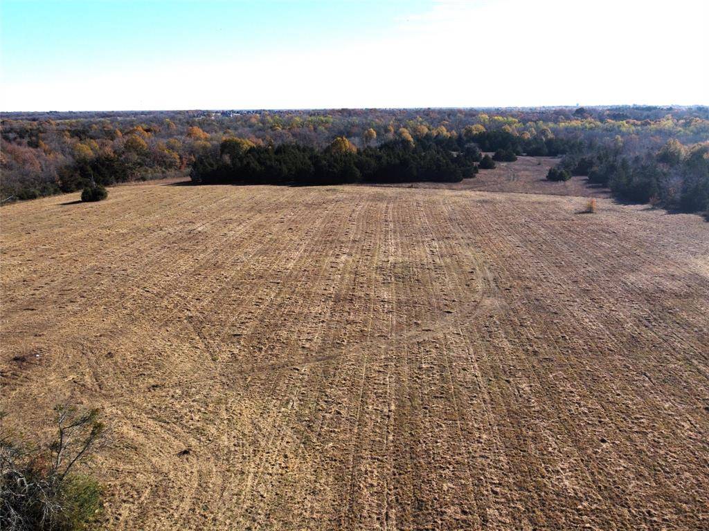 Paris, TX 75460,83 ac Stillhouse Road