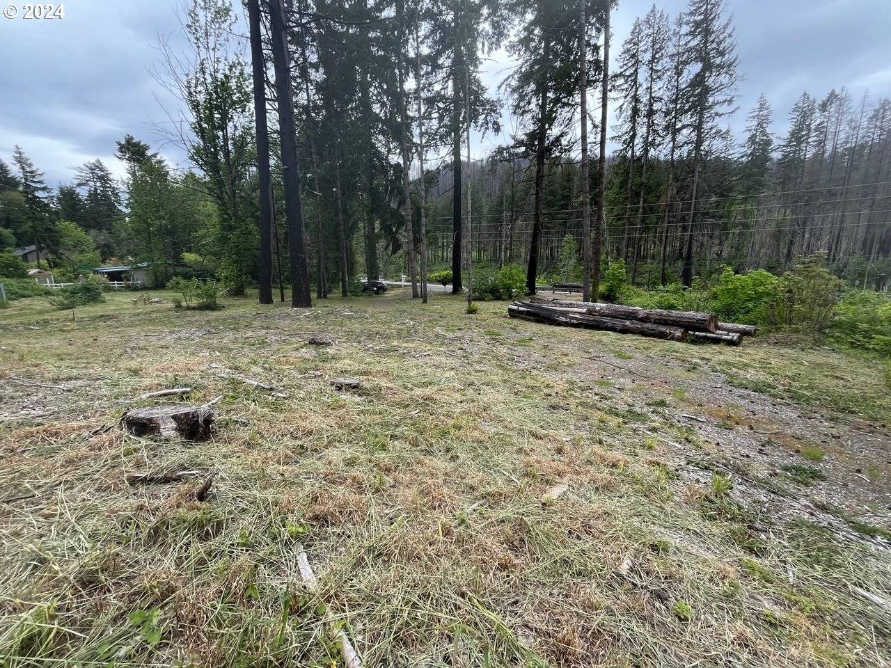 Vida, OR 97488,47983 MCKENZIE HWY