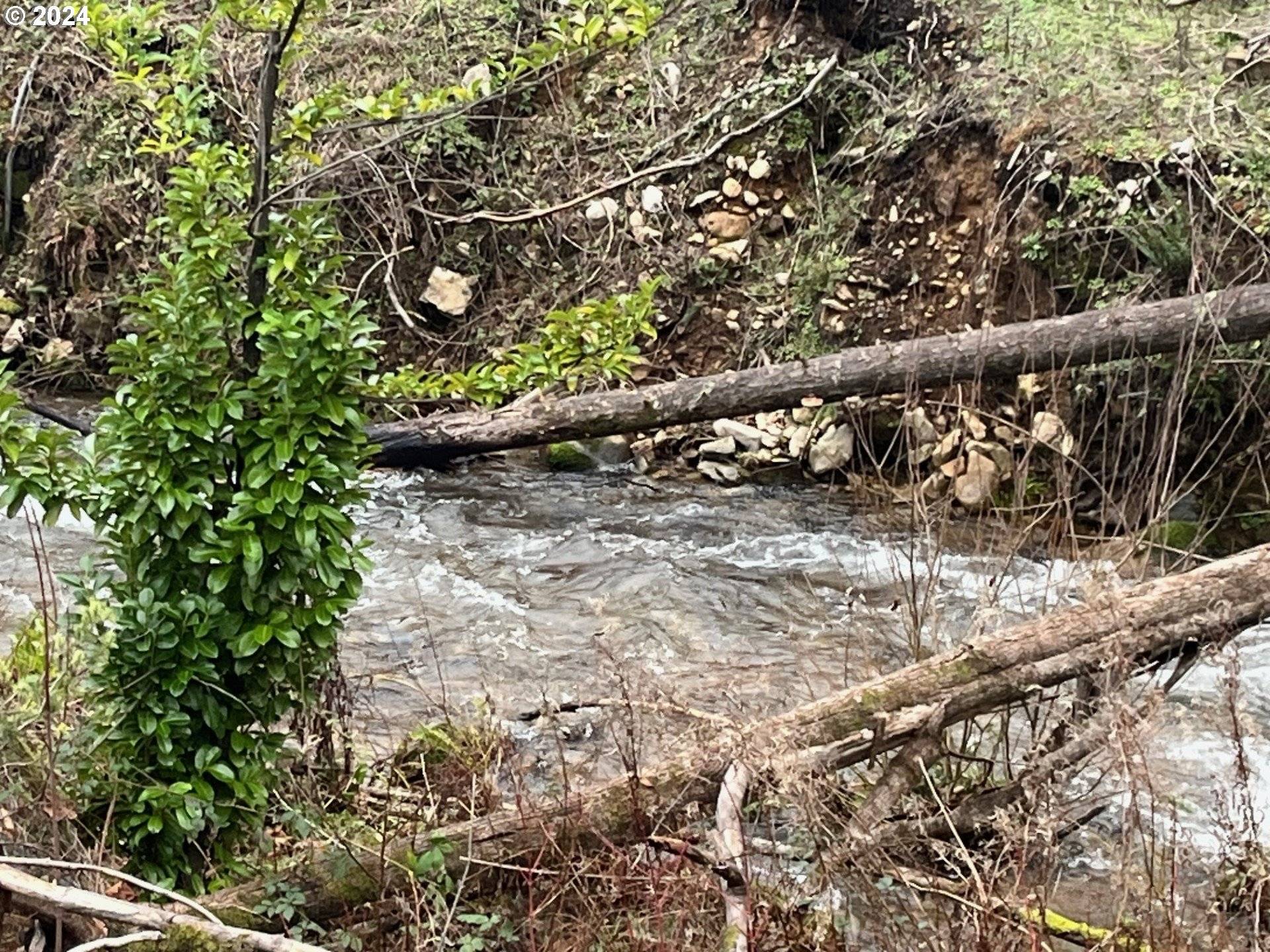 Vida, OR 97488,47983 MCKENZIE HWY