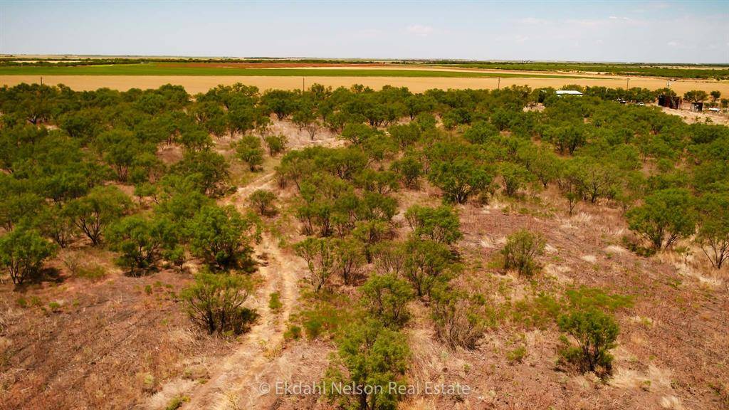 Avoca, TX 79503,TBD State HWY 6