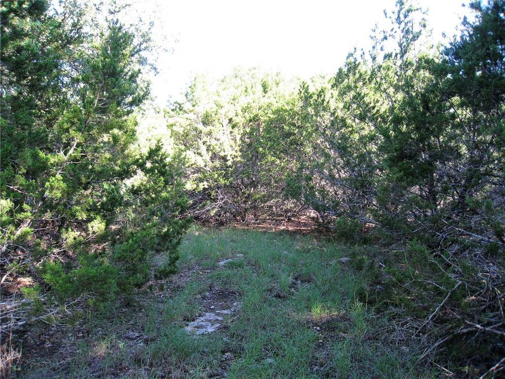 Morgan, TX 76671,TBD Turkey Lane