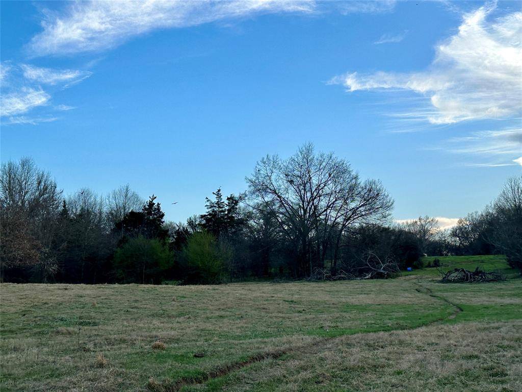 Sulphur Springs, TX 75482,81 Acres W Farm Road 1567