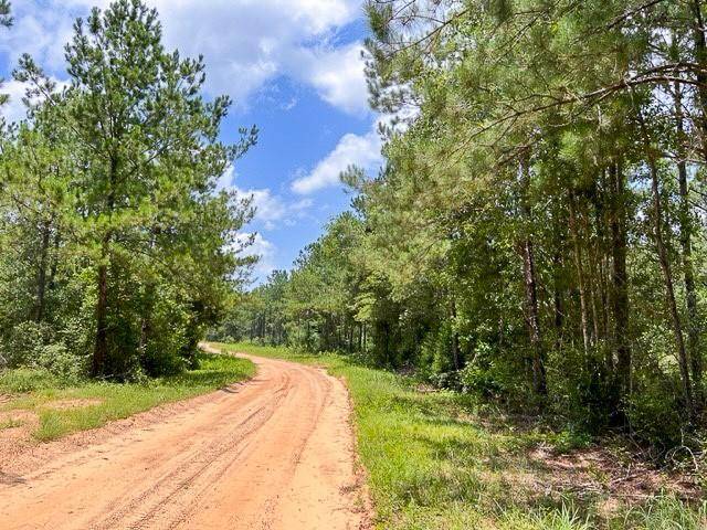 Woodville, TX 75979,000 County Road 1325