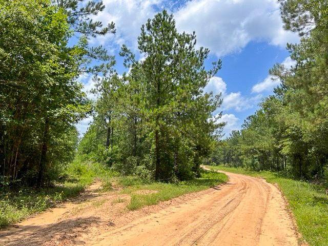 Woodville, TX 75979,000 County Road 1325