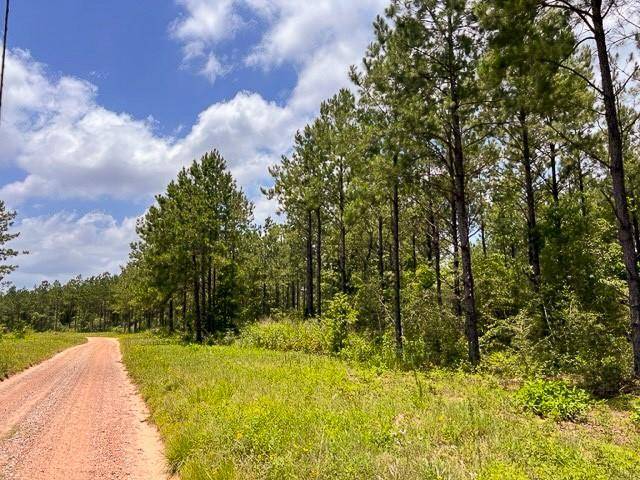 Woodville, TX 75979,0000 County Road 1325