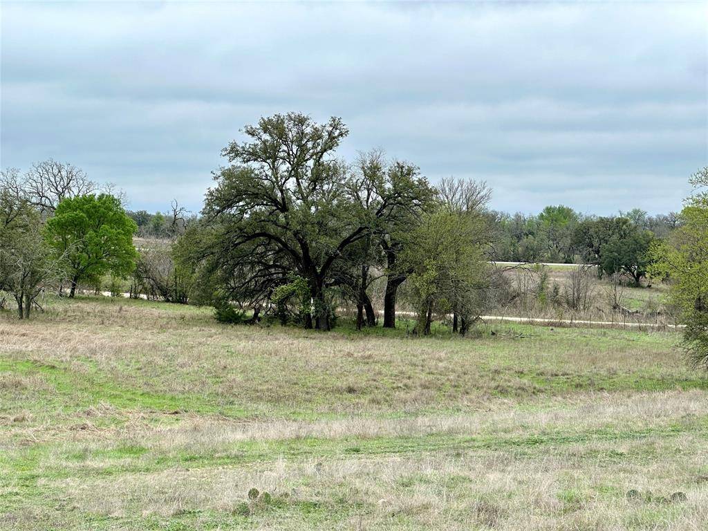 Goldthwaite, TX 76844,TBD County Road 250