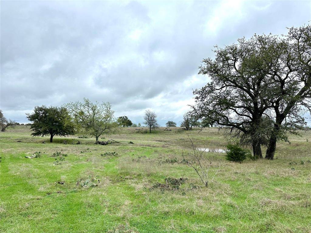 Goldthwaite, TX 76844,TBD County Road 250