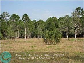 Labelle, FL 33975,3570 magnolia trace