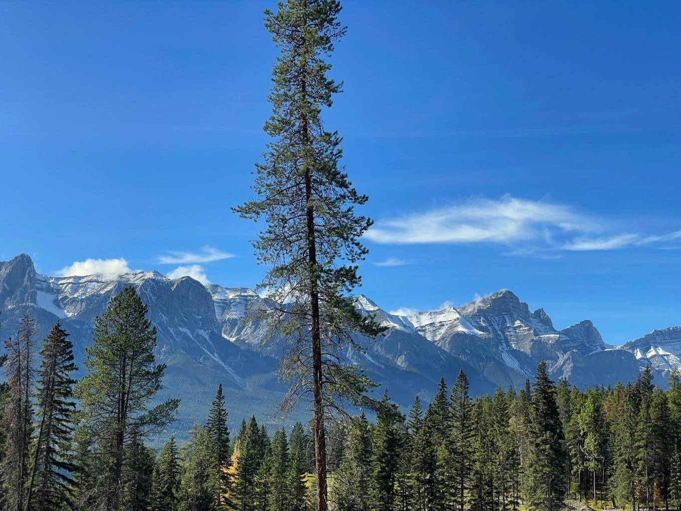 Canmore, AB T1W 3K9,404 Mountain Tranquility PL