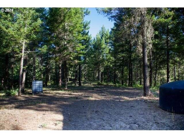 Eagle Point, OR 97524,0 ELK CR RD #TL2205