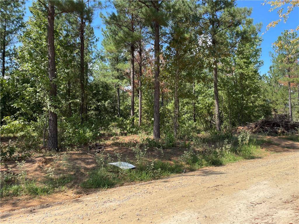 Broken Bow, OK 74728,51 Cedar Hills Trail