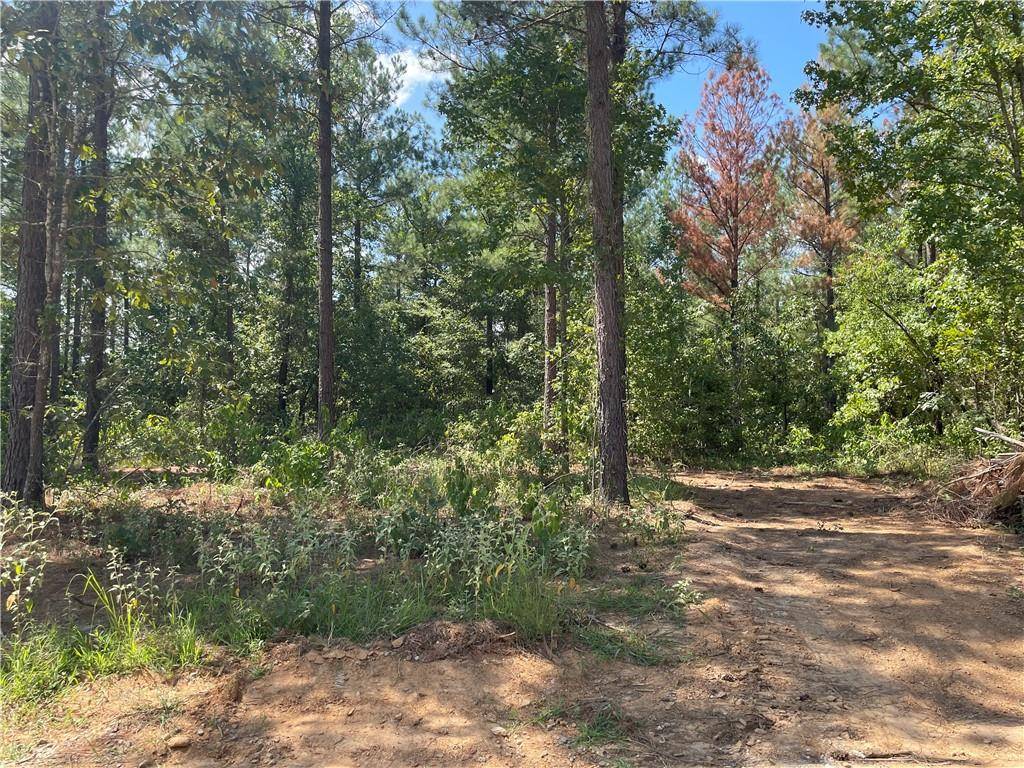 Broken Bow, OK 74728,51 Cedar Hills Trail