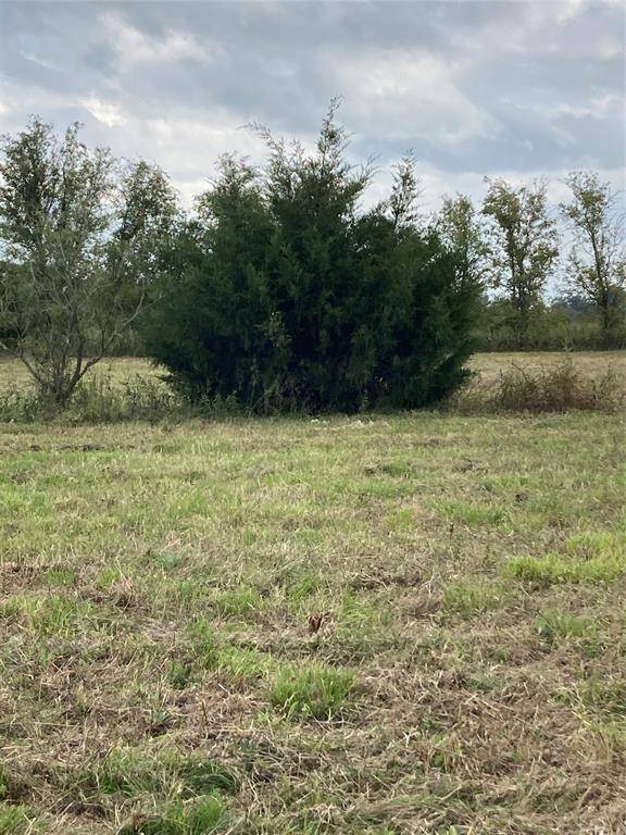 Benchley, TX 77803,TBD Alice Lane