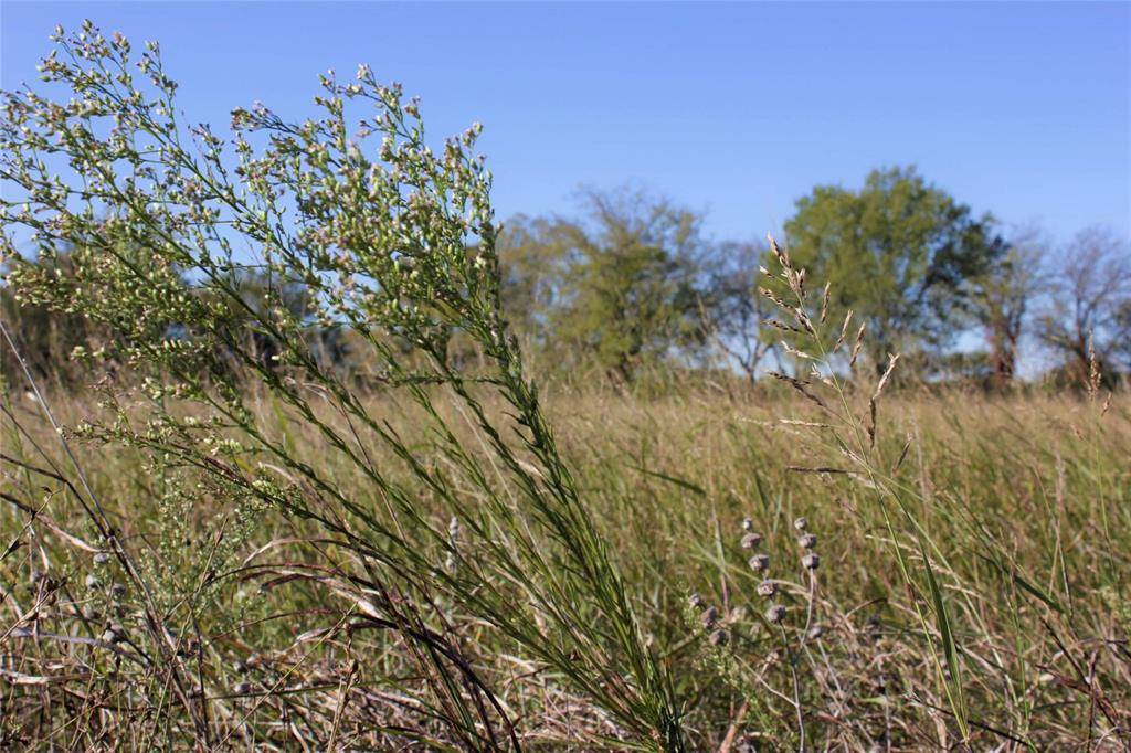 Justin, TX 76247,Lot 9 Mane Court