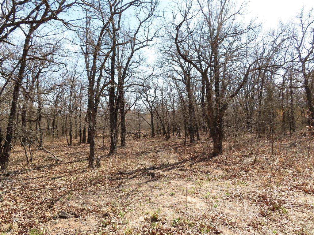 Nocona, TX 76255,1138 Quail Run