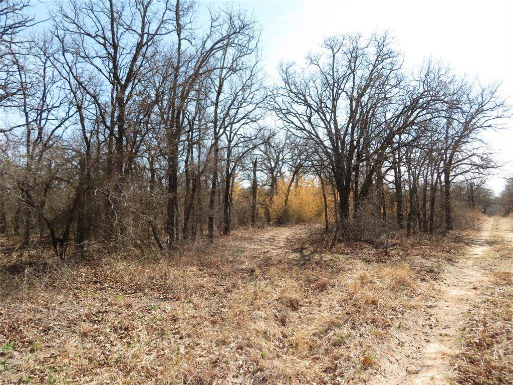 Nocona, TX 76255,1138 Quail Run