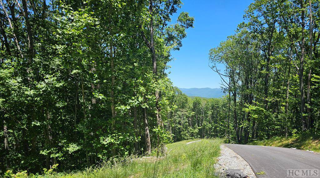 Glenville, NC 28736,C-47 Roaming Road