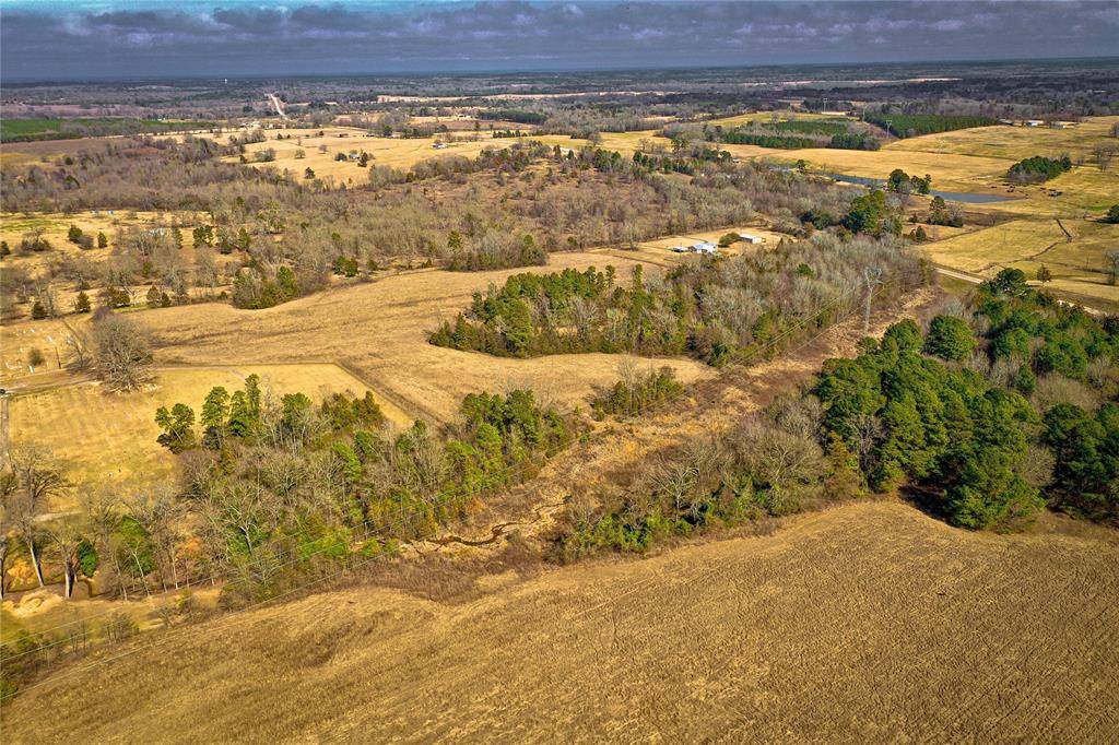 Naples, TX 75568,TBD Hwy 338 Highway