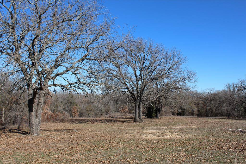 Weatherford, TX 76088,0000 Old Agnes Road