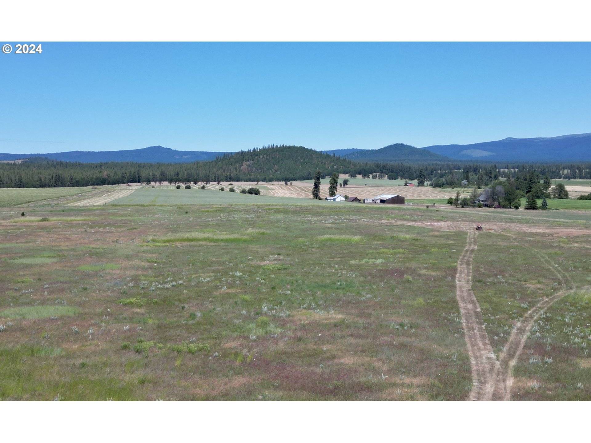 Goldendale, WA 98620,35 BUDDY LN