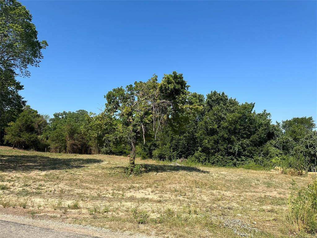 Boyd, TX 76023,TBD County Road 4599 Lot 4