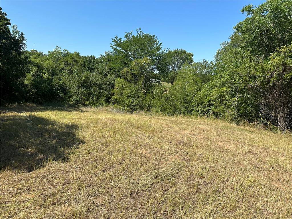 Boyd, TX 76023,TBD County Road 4599, lot 13