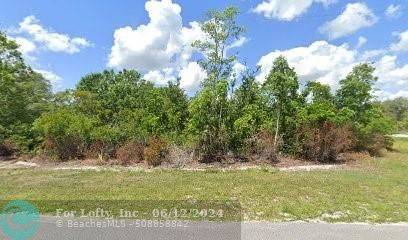 Avon Park, FL 33825,1800 S Avon Estates Blvd