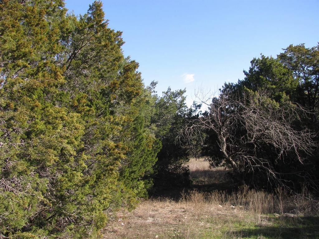 Evant, TX 76525,Lot 3 Ph 6 County Road 421