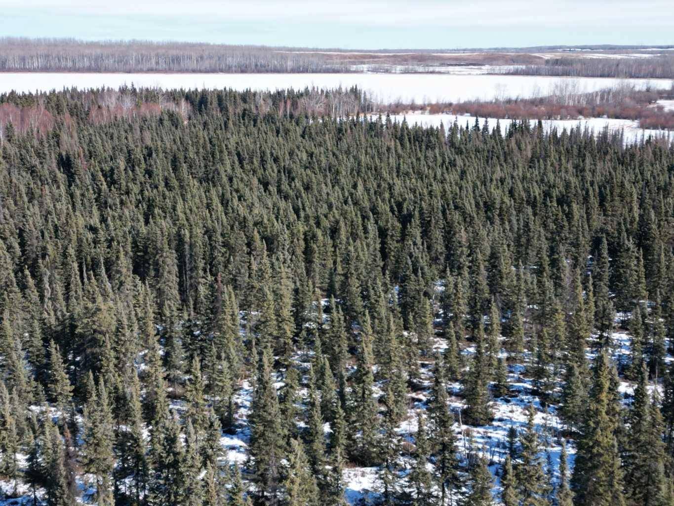 Rural Lac Ste. Anne County, AB T0E 0X0,SW-10-057-04W5M