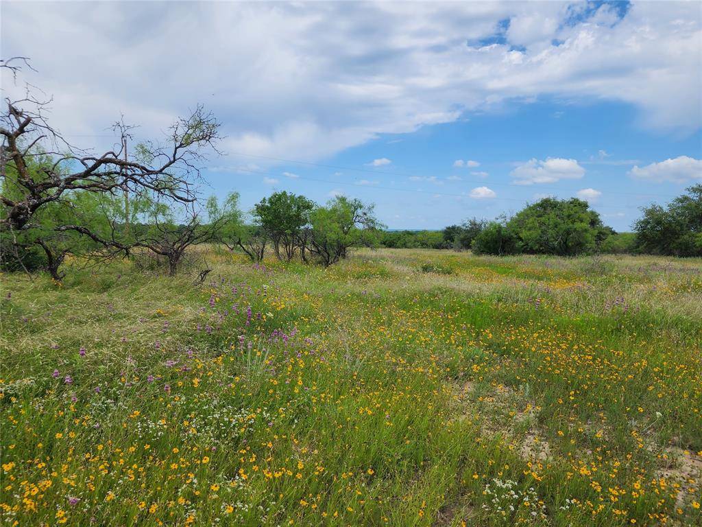 Rising Star, TX 76857,TBD County Rd 127