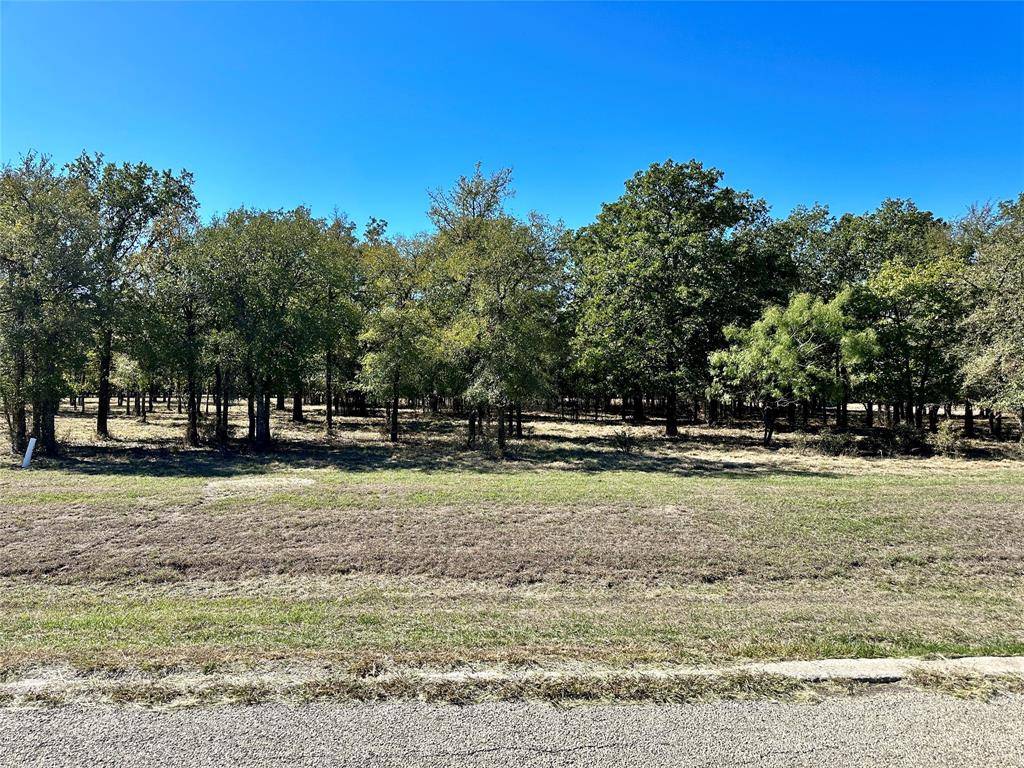 Lipan, TX 76462,TBD Lot 121 Sugartree Circle