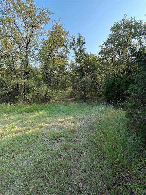 Lipan, TX 76462,TBD Brock Highway